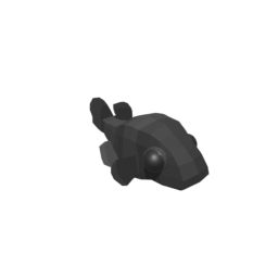 Armored Catfish